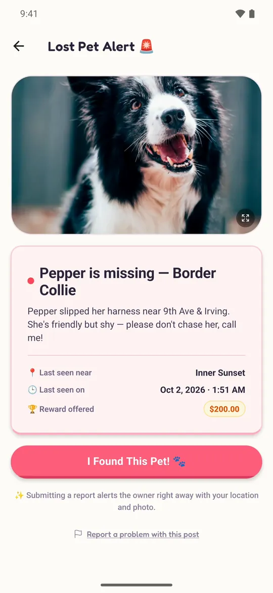 Lost pet alerts nearby